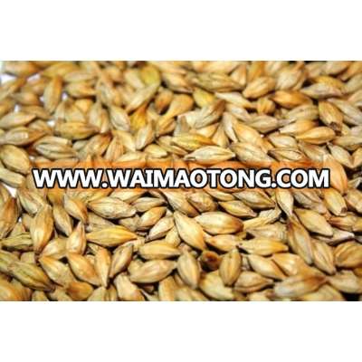 Barley Seeds for Animal feed | Animal Feed | Indian Barley Animal Feed | Super Quality Barley Animal feed