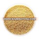 Foxtail Millet | Indian Foxtail Millet | Organic Foxtail Millet Seed